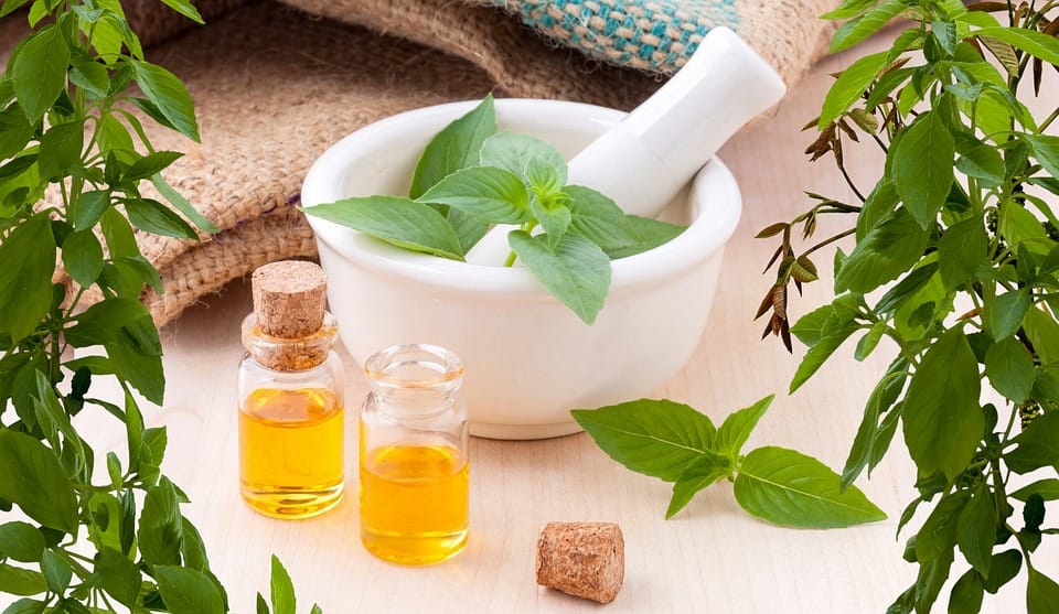 bug repellent for stroage unit natural bug repellent